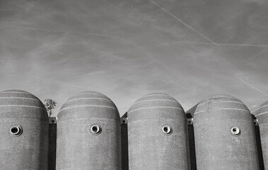 Almac&eacute;n vin&iacute;cola en Valencia