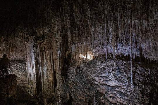 Large underground chamber filled with dense stalactites and rock formations, illuminated by soft artificial light inside a deep limestone cave