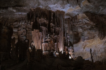 Large underground chamber filled with dense stalactites and rock formations, illuminated by soft...