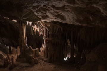Large underground chamber filled with dense stalactites and rock formations, illuminated by soft artificial light inside a deep limestone cave
