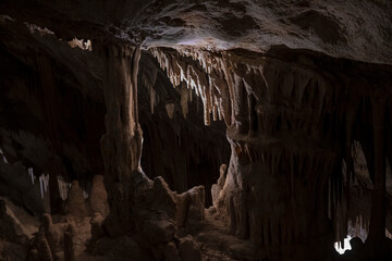 Large underground chamber filled with dense stalactites and rock formations, illuminated by soft artificial light inside a deep limestone cave
