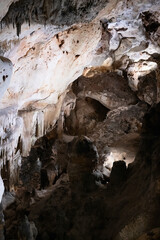 Large underground chamber filled with dense stalactites and rock formations, illuminated by soft artificial light inside a deep limestone cave
