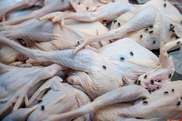 Chicken at a market stall covered in flies, Luang Prabang, Laos