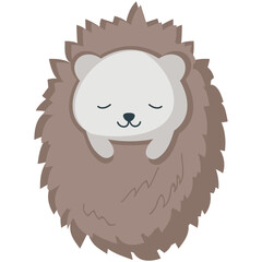Hedgehog vector. Cartoon animal sleep icon. Cute forest character illustration. Sleepy prickly creature isolated on white background