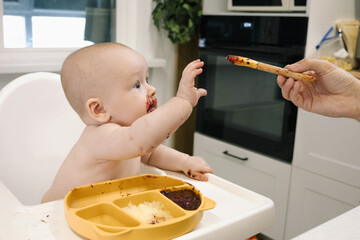 Toddler covered in food sits in a high chair and enthusiastically eating for meal on a spoon. Baby playfully messy eating. Concept of early childhood nutrition and introducing solid foods to infants.