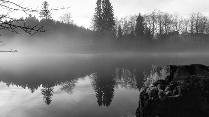 Fototapeta premium Soft mist drifts over a calm forest lake in December, shown in a tranquil black and white scene.