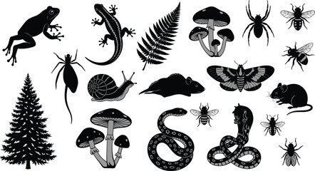 Fototapeta premium Forest ecosystem silhouette, biodiversity vector icons, black nature illustration, animal insect plant fungi design, educational graphic set