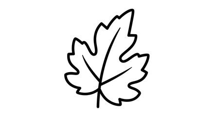 Simple Autumn Leaf Line Art Illustration