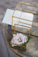 Modern wedding jewelry. Closeup of two wedding rings in a vintage box with flower petals.