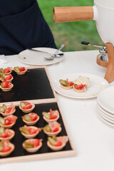 Catering banquet table at reception. Restaurant presentation, european cuisine, food consumption, party concept. Food styling, appetizers bar, welcome drink, event design.