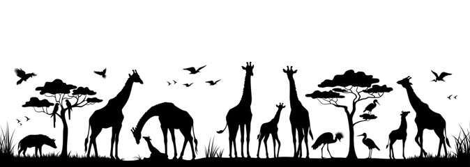 Silhouette of animals and birds in the savannah. African landscape scene. Vector horizontal seamless tropical background with giraffes, baby giraffes and hyenas. Black isolated silhouette