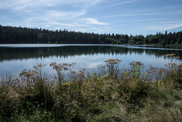 Forêt et collines du lac Servières en Auvergne