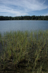 Forêt et collines du lac Servières en Auvergne