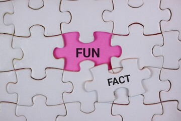 Fototapeta premium A close-up of interlocking puzzle pieces, featuring a pink piece labeled FUN and a white piece labeled FACT. It symbolizes curiosity, learning, and concepts in business.