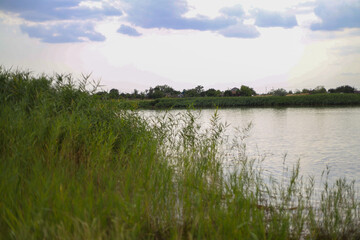 River, water, summer, village, Ukraine, nature, landscape, green, trees, sky, reflection, calm, peaceful, countryside, banks, sunlight, forest, grass, clouds, blue, natural, serene, travel, scenery, o