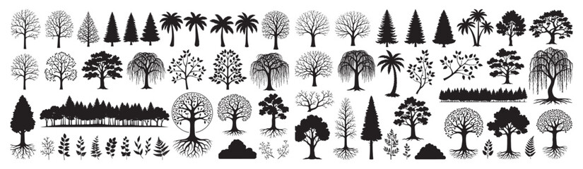 Variety of tree silhouettes including forest pine palm willow and leafy shapes in diverse botanical collection Concept of nature ecology growth