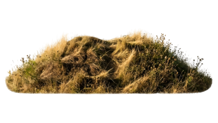 Detailed view of a grassy hill with various plant life.