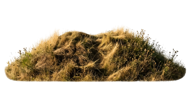 Detailed view of a grassy hill with various plant life.