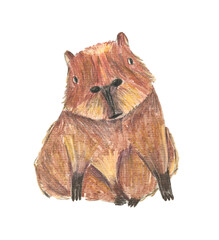 Cute color pencils drawing brown sitting capybara animal. Textured hand drawn cheerful rodent for birthday greeting card design, banner, sticker, holiday poster, t-shirt print