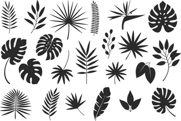Tropical leaf silhouette cartoon vector set, exotic foliage icons, botanical shapes, flat illustration, side view, nature and plant concept