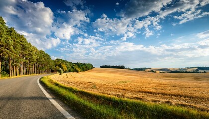 a tranquil rural scene with a forested roadside and a harvested field under a partly cloudy sky