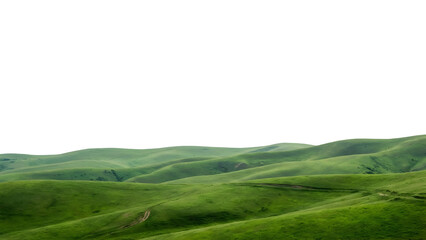 Fototapeta premium Rolling green hills under a bright sky create a serene landscape scene.
