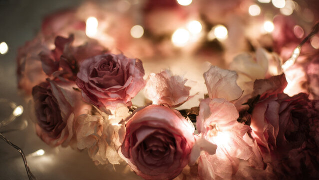 A romantic display of soft pink and cream roses, illuminated by warm fairy lights, casting a beautiful, dreamy glow with bokeh.