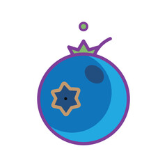 Blueberry Icon Design