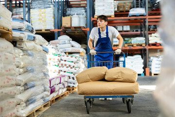 Young male employee is driving trolley cart with several bulky paper bags. Guy works as loader in a...