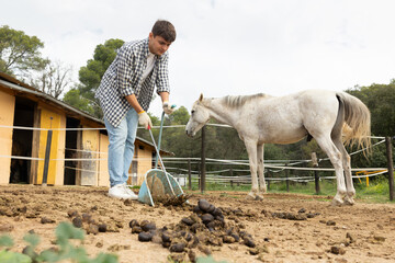 During working day, man employee cleans horse pen, removes manure, cleans walking area of excrement. He use shovel and rake to clean space of pen from manure © JackF
