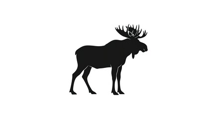 Obraz premium Black silhouette of a standing moose with large antlers.