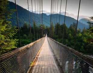 suspension bridge over lynn valley in north vancouver
