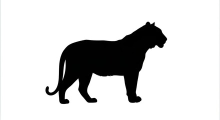 Obraz premium Black Tiger Silhouette Standing in Profile View on White Background.