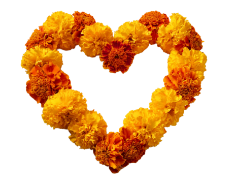 Rose garland intertwined with marigold garland forming a heart, white background