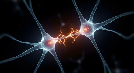 Neural Synapse Connection with Electrical Activity Illustration