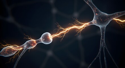 Neural Synapse Connection Transmitting Signal Illustration