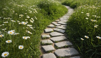 Peaceful garden walkway surrounded by blooming wildflowers