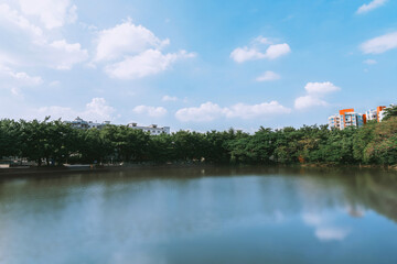 In a park in Dongguan City, Guangdong Province, China, the background features a row of modern, contemporary Chinese-style residential buildings, a blue sky, and clear lake water.