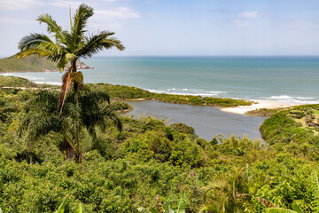 Forest view with lake and ocean in background