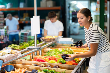 Interested young woman shopping for organic vegetables in local farm store, choosing fresh ripe aubergines from boxes on produce display..