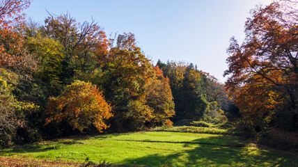 Fototapete bei efototapeten.de bestellen   