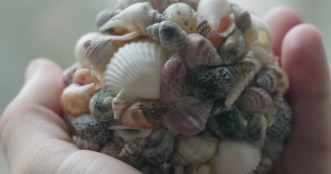 Hand Holding Intricate Seashell Sphere Art Piece