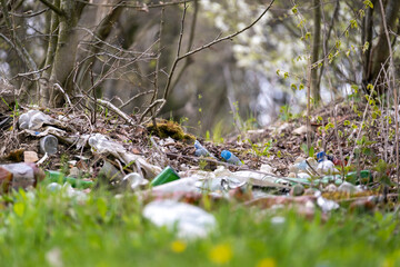 Forest floor covered with scattered trash and plastic waste. Environmental pollution and human impact on nature.