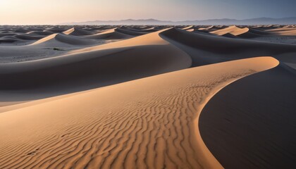 Golden light illuminates vast desert sand dunes