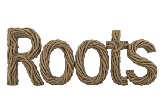 A visually striking depiction of the word "Roots" crafted entirely from intertwined brown vines or tree branches, against a solid transparent background. background removed