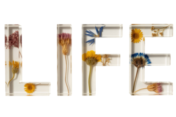 The word LIFE is artfully spelled using clear resin letters, each embedding vibrant pressed and dried flowers against a solid transparent background. background removed