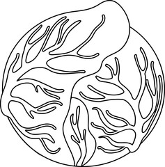 Coloring page with head of cabbage isolated on white background