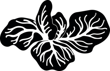 Black silhouette of cabbage isolated on white background