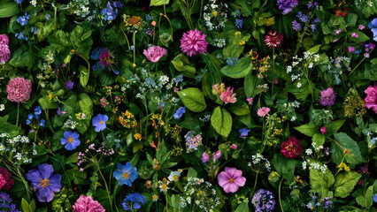 This image showcases a vibrant, dense meadow filled with an array of colorful wildflowers and lush green leaves, creating a rich botanical pattern.