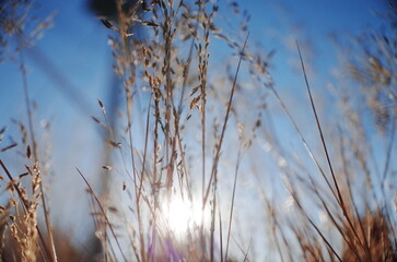 Nature in close up and abstract